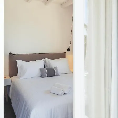 Nautilus Serifos Livadakia